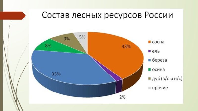 Данные о составе зеленых насаждений представлены на диаграмме используя диаграмму