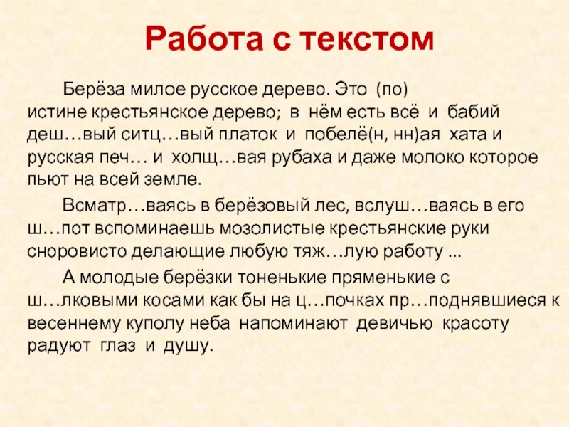 Любой т. Береза милое русское дерево это поистине Крестьянское дерево. Берёза милое русское дерево текст. Берёза милое русское дерево это по истине Крестьянское дерево. Диктант береза милое русское дерево.