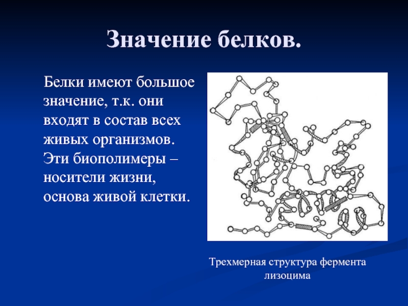 Значение белков презентация