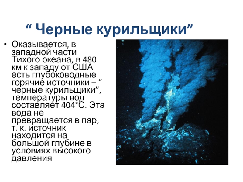 Черные курильщики на дне. Черные курильщики теория. Презентация черные курильщики. Строение черного курильщика. Чёрные курильщики это кратко.