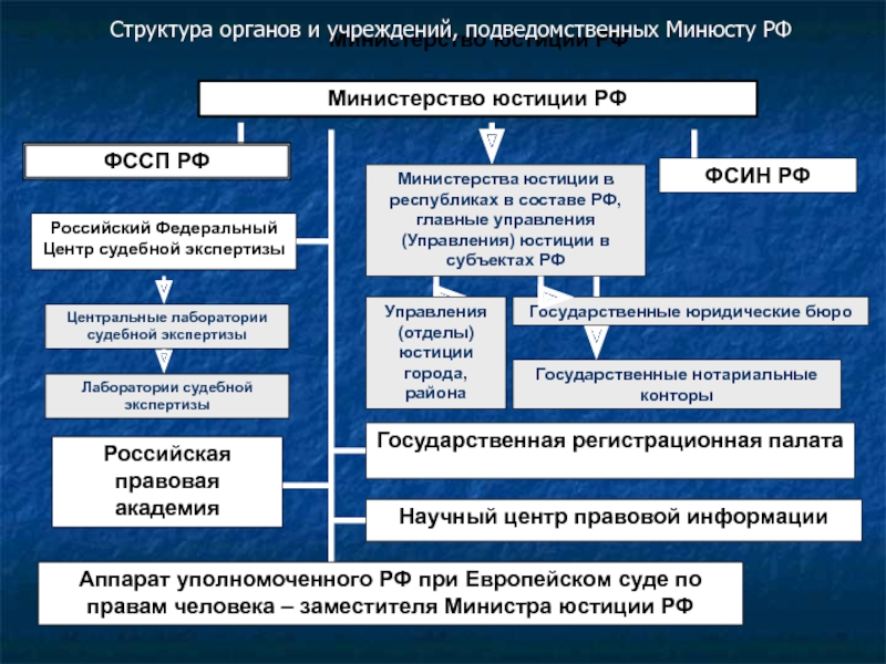 Государственные экспертные учреждения россии