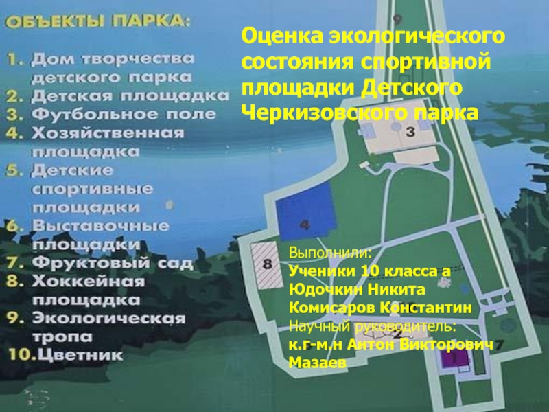 Презентация Оценка экологического состояния спортивной площадки Детского Черкизовского парка