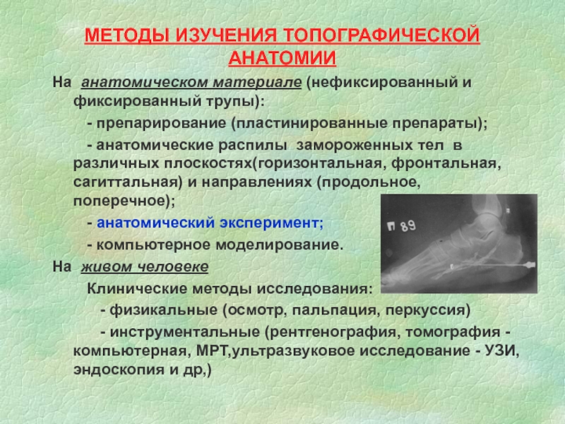 Презентации по топографической анатомии и оперативной хирургии