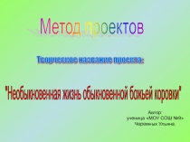 Необычная жизнь обыкновенной божьей коровки 3 класс