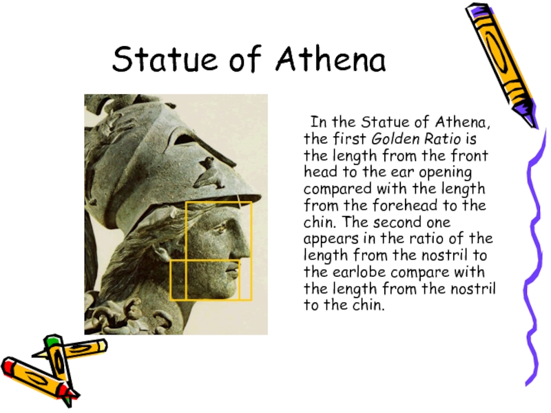 Statue of Athena	In the Statue of Athena, the first Golden Ratio is the length from the front
