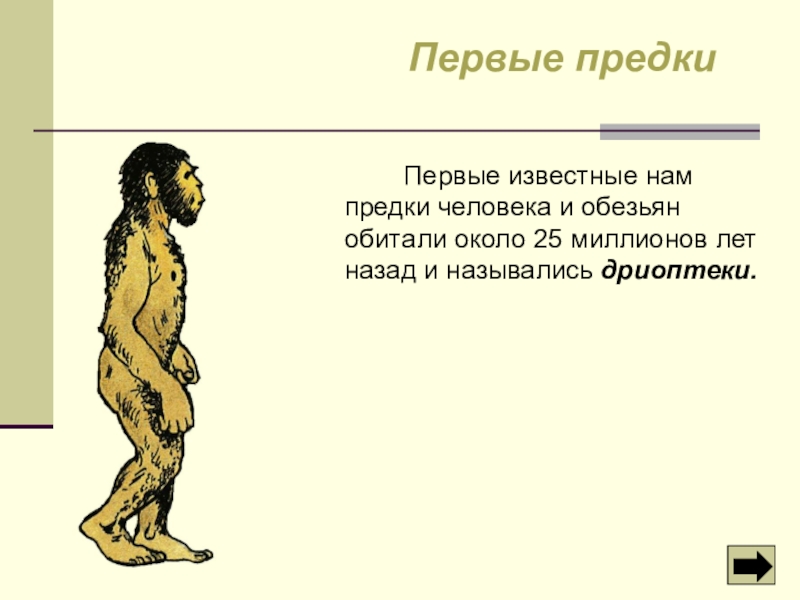 Указать предка человека. Предки человека. Предшественники человека. Первый предок человека и обезьяны. Презентация предки человека.