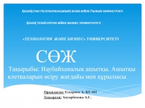ҚАЗАҚСТАН РЕСПУБЛИКАСЫНЫҢ БІЛІМ ЖӘНЕ ҒЫЛЫМ МИНИСТРЛІГІ ҚАЗАҚ ТЕХНОЛОГИЯ ЖӘНЕ