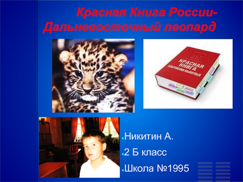 Презентация Красная Книга России — Дальневосточный леопард
