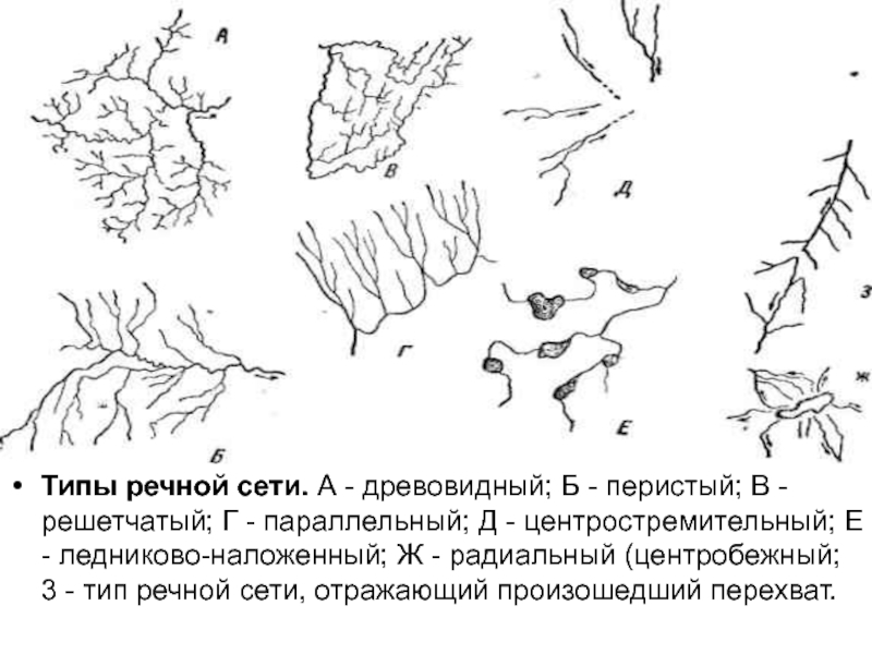 Речная сеть. Типы Речной сети. Древовидный Тип Речной системы. Речная сеть центростремительного типа:. Перистый Тип Речной сети.