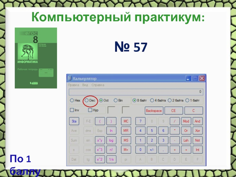 Компьютерный практикум 5 класса. Калькулятор по информатике. Калькулятор для информатики. Компьютерный практикум. Калькулятор Информатика системы.