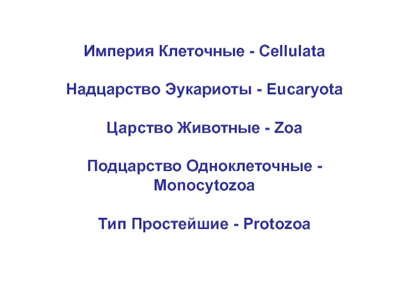 Империя клеточные. Империя Надцарство царство Подцарство. Империя Cellulata.