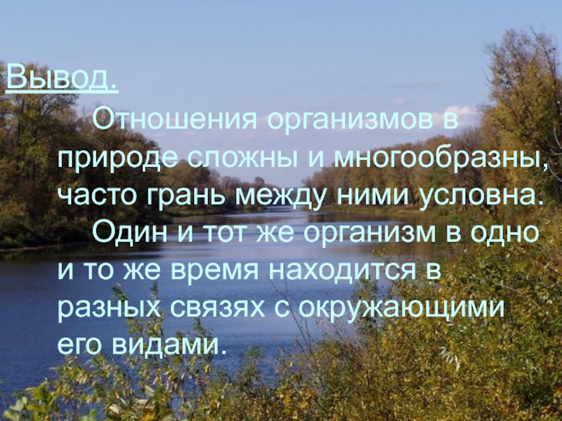 Отношения организмов в природе