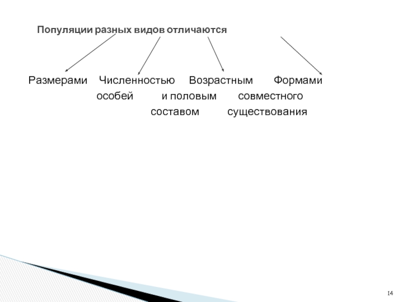 Популяция разных видов