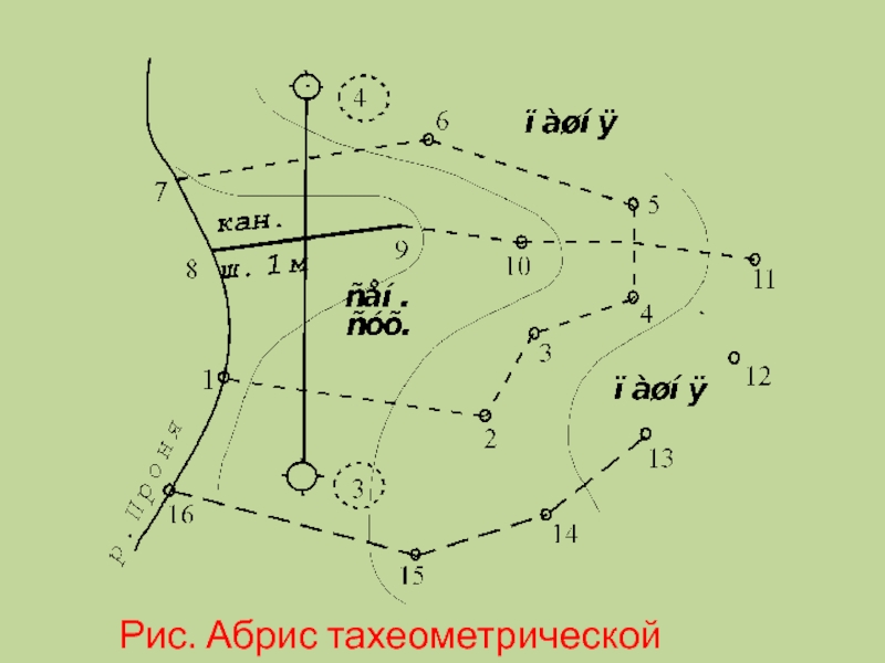 Построение тахеометрического плана