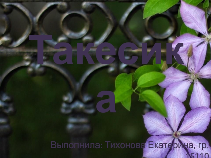 Такесика