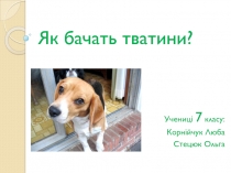 Як б ачать тватини ?