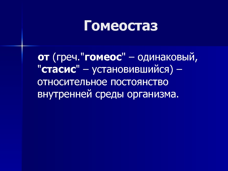 Гомеостаз картинки для презентации