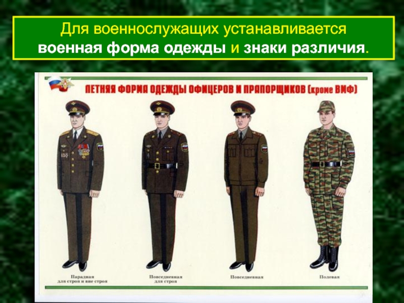 Все виды одежды военнослужащих