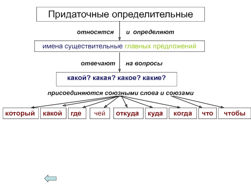 Определительные отвечают на вопросы. На какие вопросы отвечает Союз. На какие вопросы отвечает сою. Что такое Союзы на какой вопрос отвечает Союзы. Кластер виды придаточных.