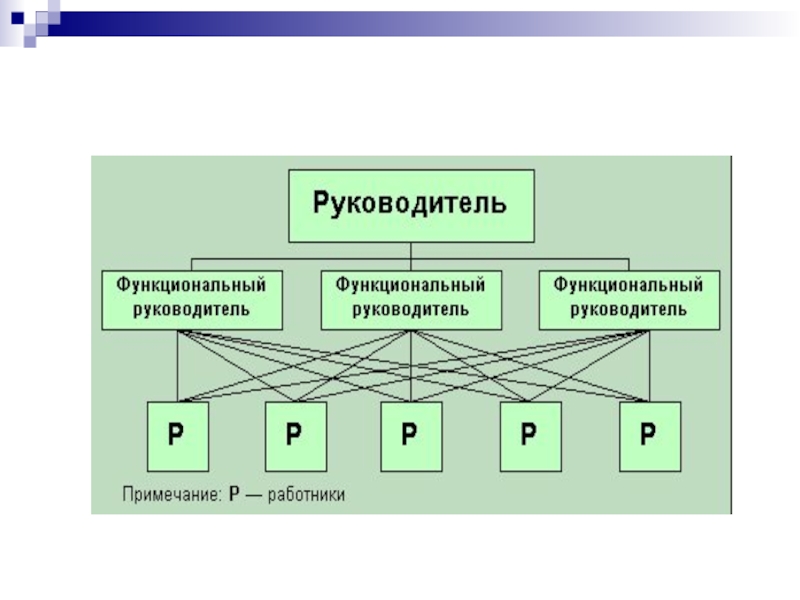 Модели управленческих ролей. Структурный план по истории.