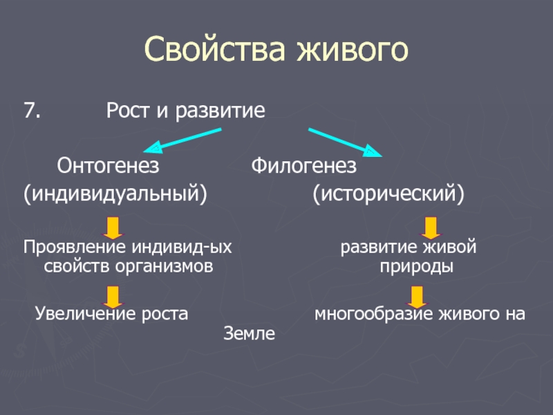 Эволюция и онтогенез презентация