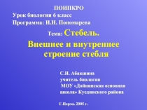 Стебель Внешнее и внутреннее строение стебля