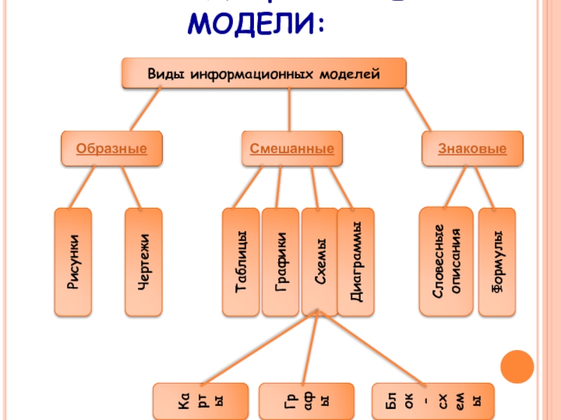 Схема виды информационных моделей