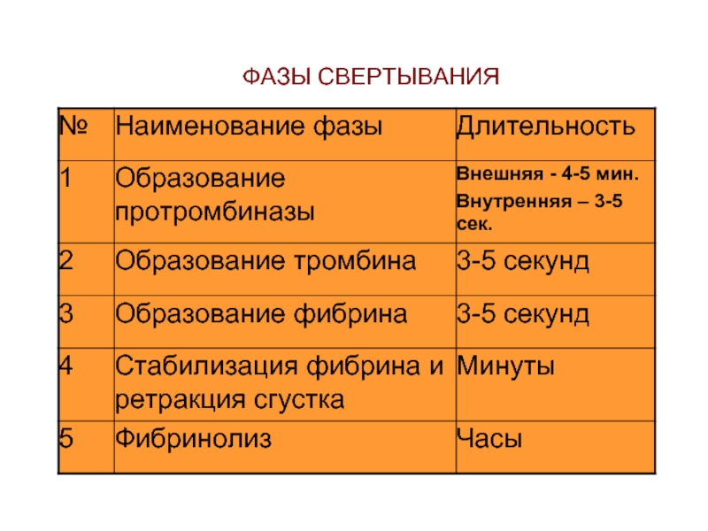 Фазы свертывания крови схема свертывания