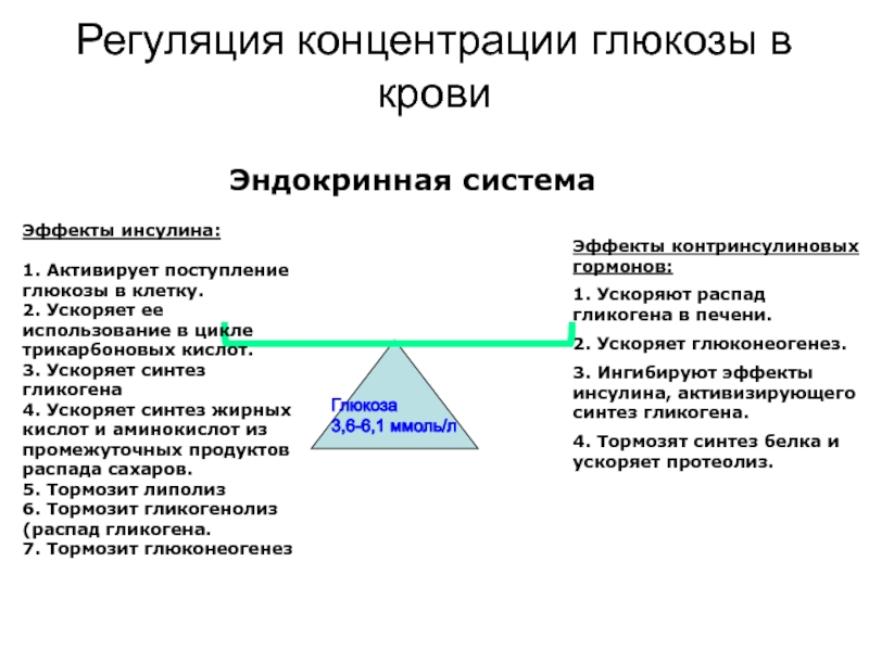 Схема регулирования сахара в крови кибернетика