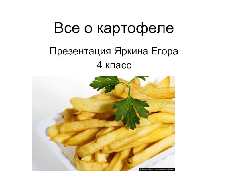 Презентация Все о картофеле