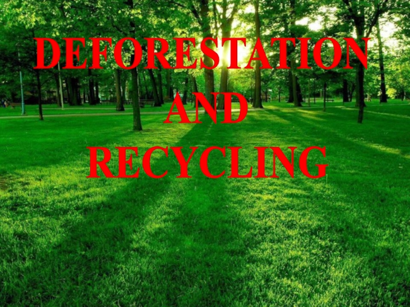 Deforestation and recycling 8 класс