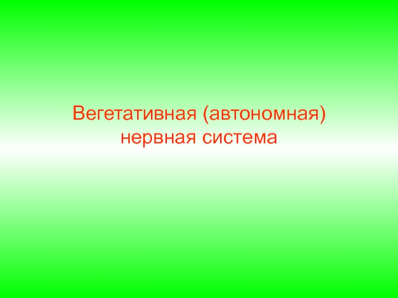 Презентация Вегетативная (автономная) нервная система