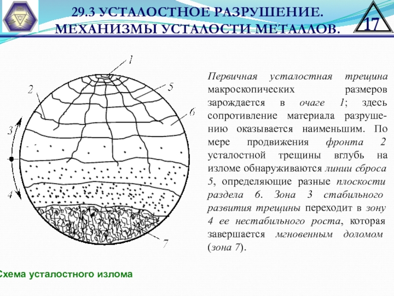 Индикаторные рисунки усталостных трещин представляют собой