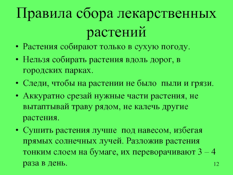 Правила сбора лекарственных растений для детей в картинках