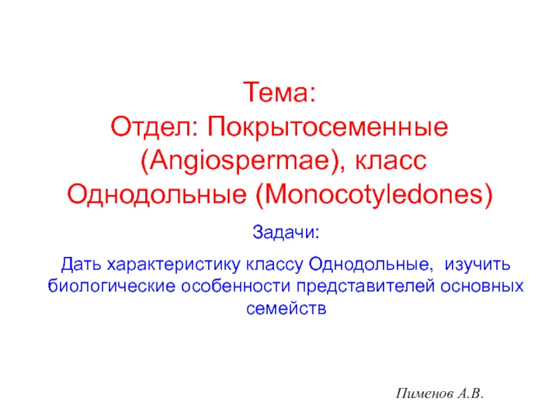 Презентация Пименов А.В.
Задачи:
Дать характеристику классу Однодольные, изучить