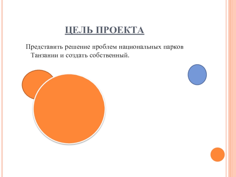 Разработка проекта создание национального парка в танзании