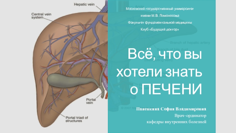 Презентация Всё, что вы хотели знать о ПЕЧЕНИ