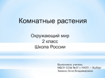 Презентация по окружающему миру на тему: 