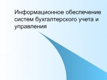 Информационное обеспечение систем бухгалтерского учета 