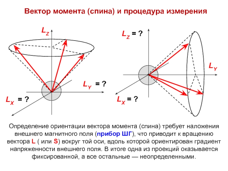 Момент вектора. Спин и магнитный момент. Проекция спина на направление внешнего магнитного поля. Проекция главного спинового момента.