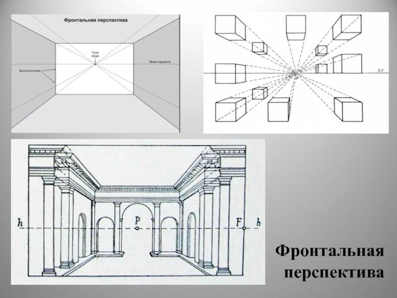 Фронтальное изображение это