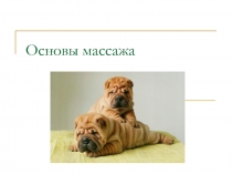 Основы массажа