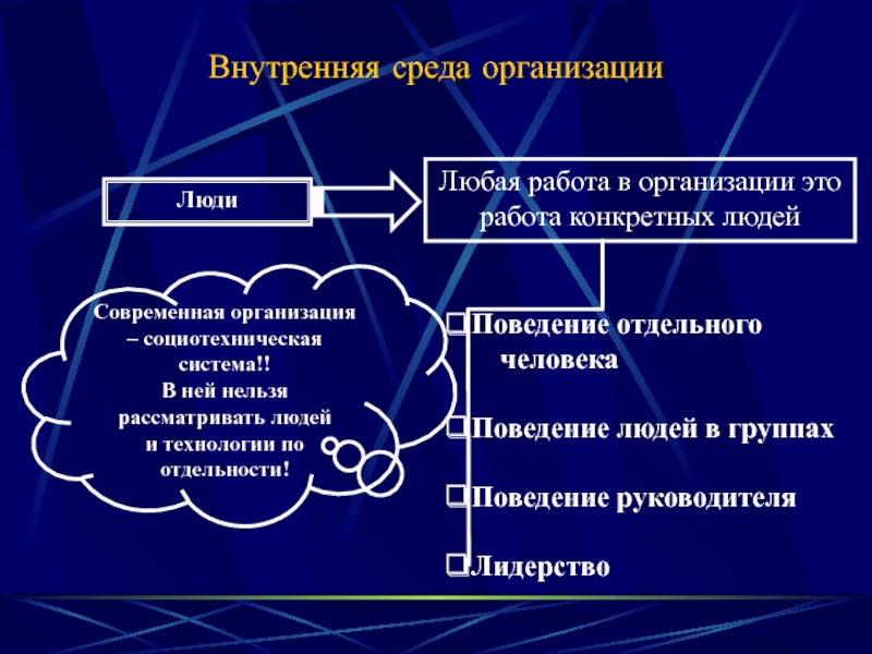 Внутренняя организация поведения