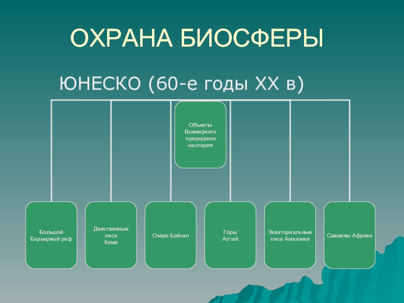 Экологические проблемы биосферы презентация по биологии 9 класс