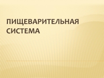 Пищеварительная система