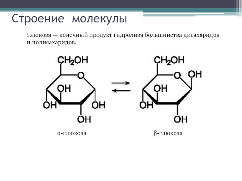 Строение молекулыα-глюкозаβ-глюкозаГлюкоза — конечный продукт гидролиза большинства дисахаридов и полисахаридов.