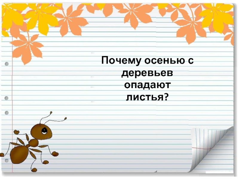 Почему осенью. Почему осенью холоднее чем летом. Почему-потому (осень). Презентация почему осенью хочется больше есть. Почему осенью хочется больше есть.