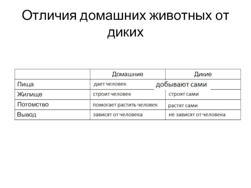 Чем отличается домашняя. Различие диких и домашних животных. Сходства и различия домашних и диких животных. Дикие животные отличие от домашних. Чем отличаются домашние животные от диких.