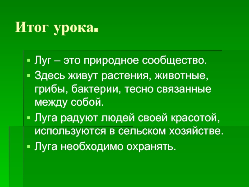 План изучения природного сообщества