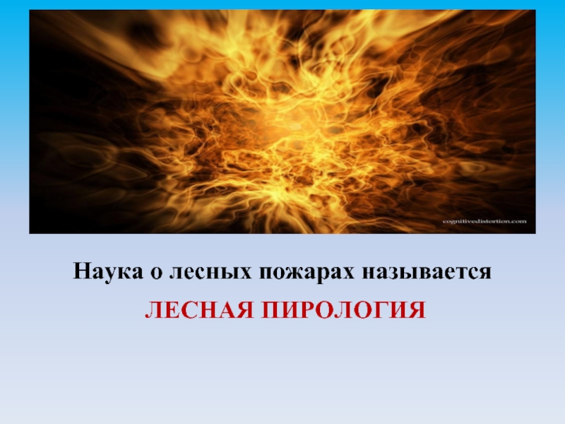 Песня называется огонь. Наука о лесных пожарах. Наука о лесных пожарах называется. Как называется наука о лесных пожарах. Наука об огне название.